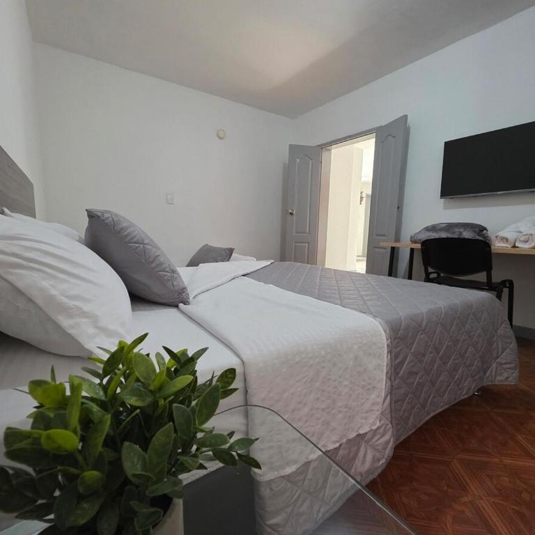 San Joaquin House 5BR in Laureles - Apartamento - 17