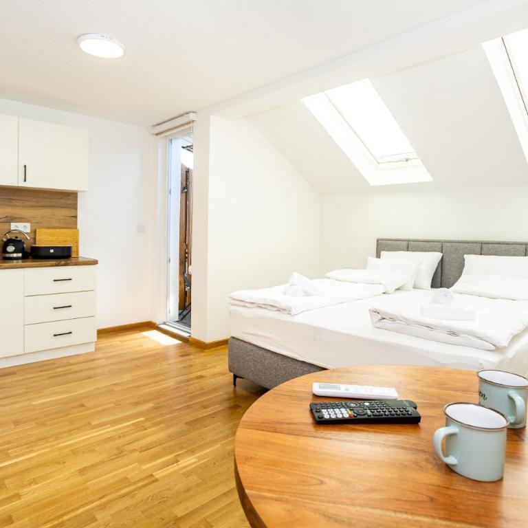 Sarajevo Boutique Studios - Apartman sa 1 Spavaćom Sobom - 18