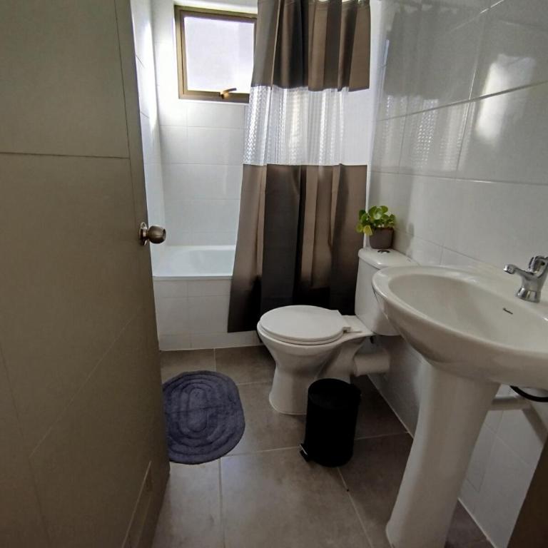 Talca Arriendo Alojamiento casa 4 a 6 huespedes - Villa - 19