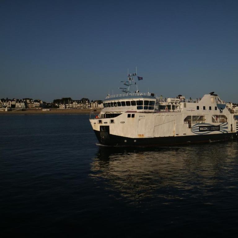 Quiberon les Figuiers maison tout confort,quartier calme,proche centre ville - Maison de Vacances - 16
