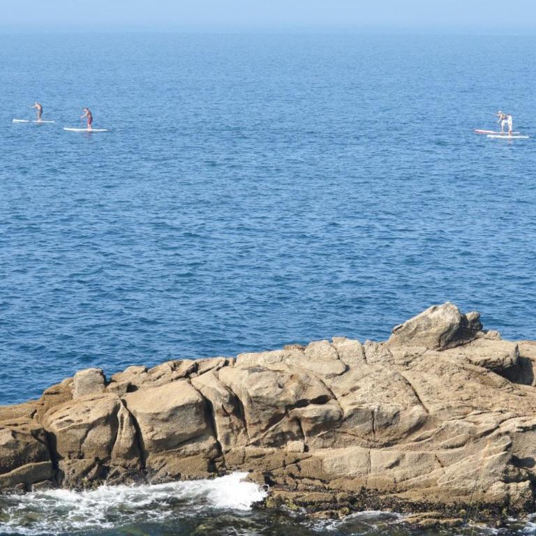 Quiberon les Figuiers maison tout confort,quartier calme,proche centre ville - Maison de Vacances - 22