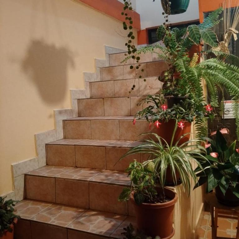 Casa Martinez Riobamba - Two-Bedroom Apartment - 4