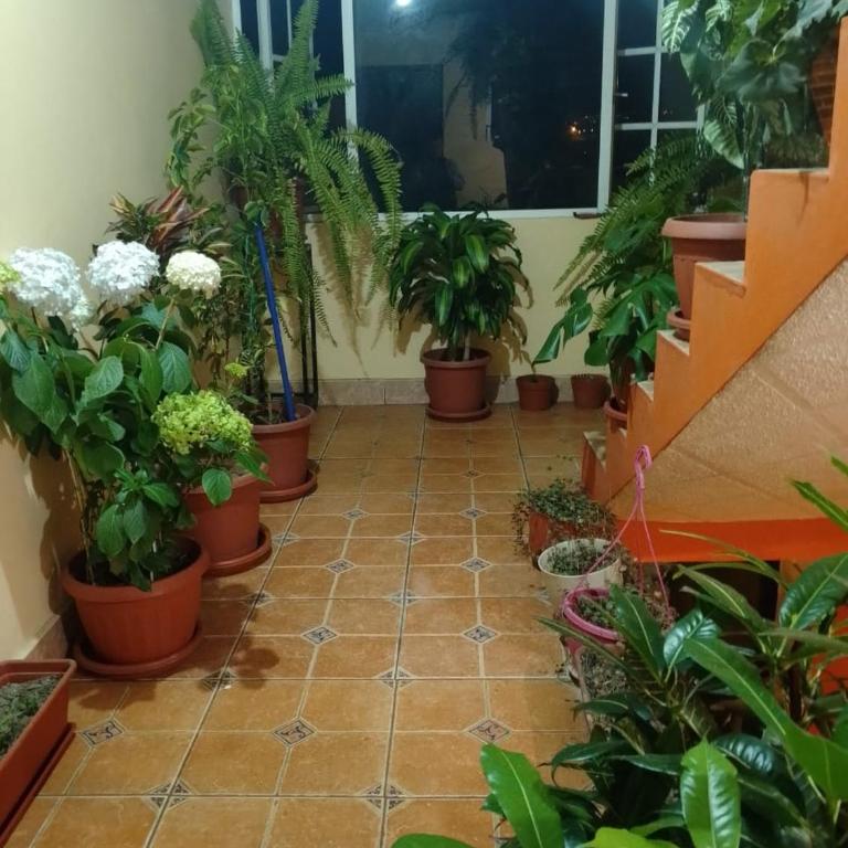 Casa Martinez Riobamba - Two-Bedroom Apartment - 12