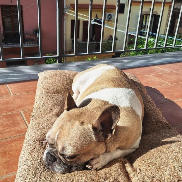 Casa XXI Aprile - Maisonette - 13