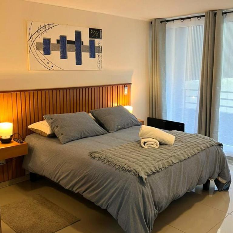 Cómodo departamento a pasos de metro Santa Ana - One-Bedroom Apartment - 1