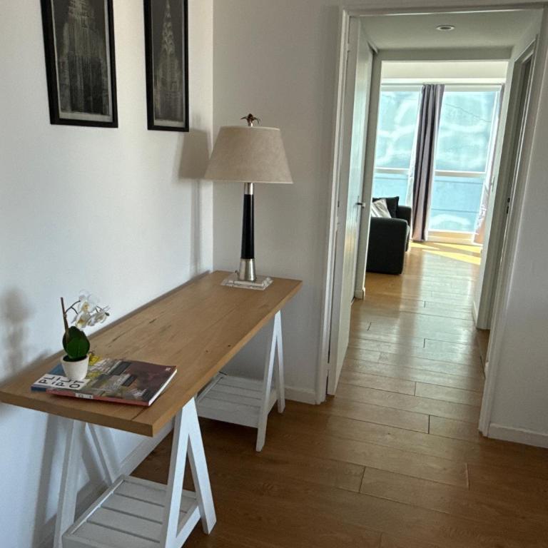 Departamento Premium en la famosa Torre Bellini, en el centro, con piscina, jacuzzi, gimnasio y vista increible a la ciudad de Buenos Aires, capacidad máxima 5 personas - Apartamento de 1 dormitorio - 16