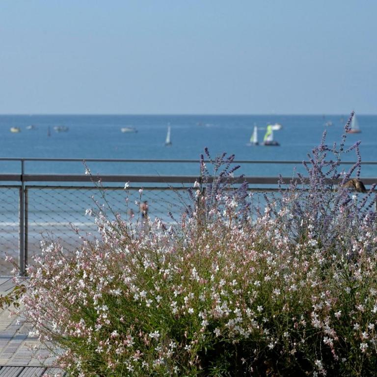Bel appartement T3 rénové avec terrasse, à 200m de la plage, WiFi - FR-1-92-691 - Appartamento (6 Adulti) - 12