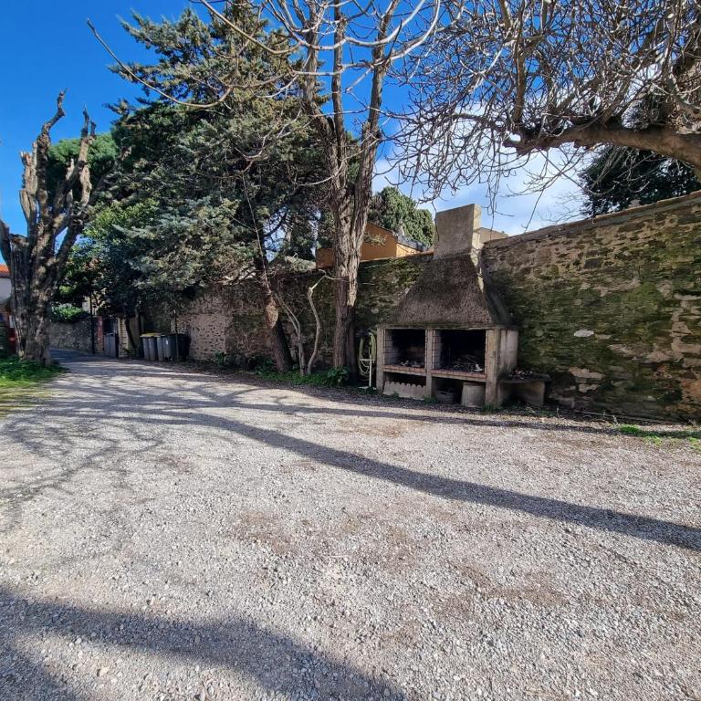 Appartement centre Collioure avec terrasse & WiFi - FR-1-309-190 - Appartement (4 Adultes) - 6