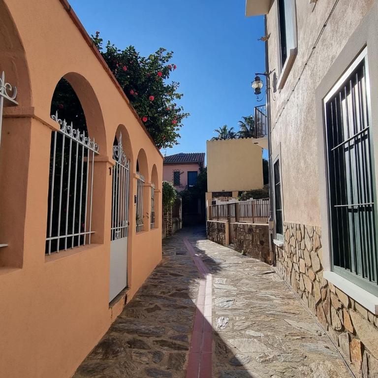 Appartement centre Collioure avec terrasse & WiFi - FR-1-309-190 - Appartement (4 Adultes) - 16