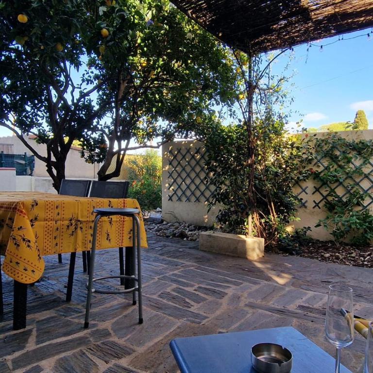 Banyuls-sur-Mer, appt climatisé, terrasse, proche plages - FR-1-309-390 - Appartement 1 Chambre - 3