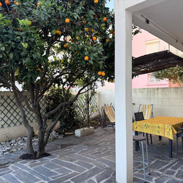 Banyuls-sur-Mer, appt climatisé, terrasse, proche plages - FR-1-309-390 - Appartement 1 Chambre - 11