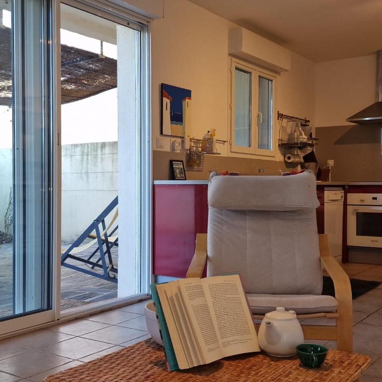 Banyuls-sur-Mer, appt climatisé, terrasse, proche plages - FR-1-309-390 - Appartement 1 Chambre - 15