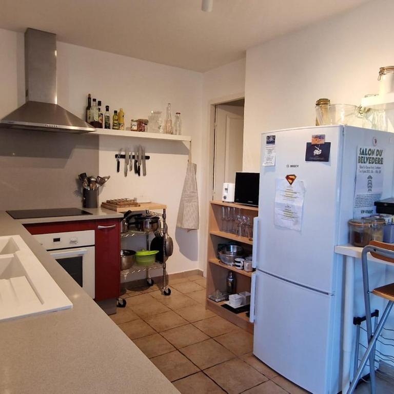 Banyuls-sur-Mer, appt climatisé, terrasse, proche plages - FR-1-309-390 - Appartement 1 Chambre - 19