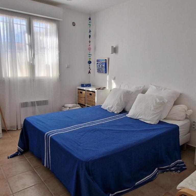 Banyuls-sur-Mer, appt climatisé, terrasse, proche plages - FR-1-309-390 - Appartement 1 Chambre - 23