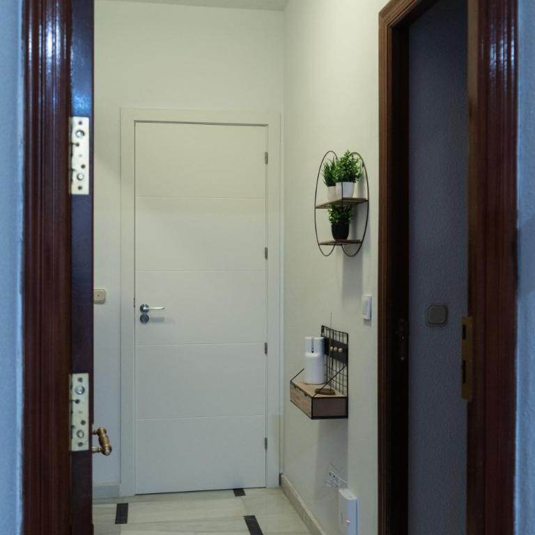 Edificio Alcazar - Apartamento - 6