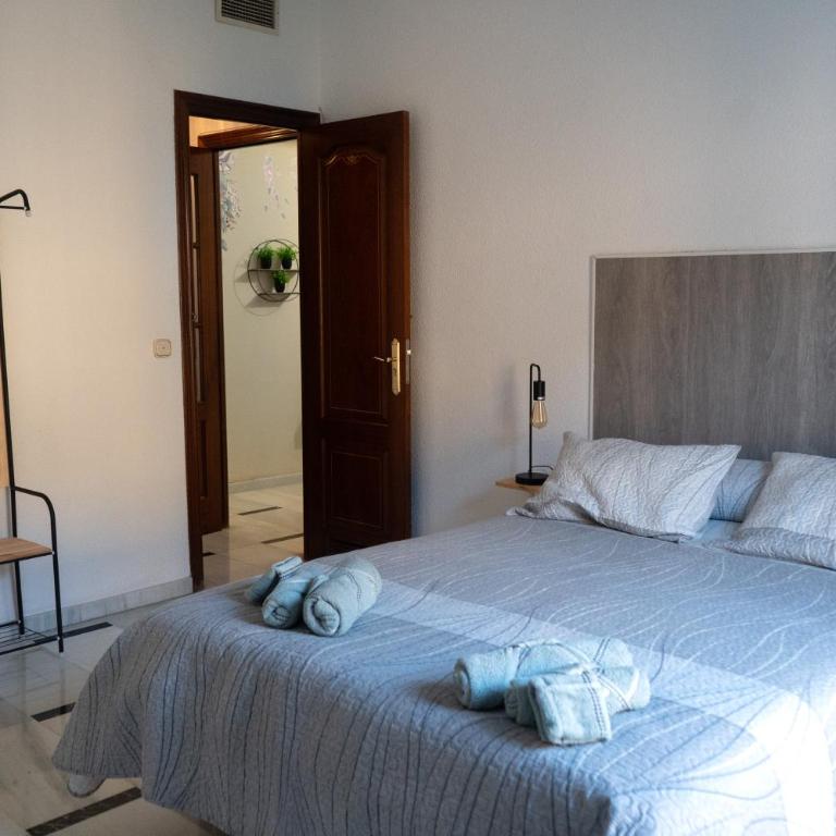 Edificio Alcazar - Apartamento - 15