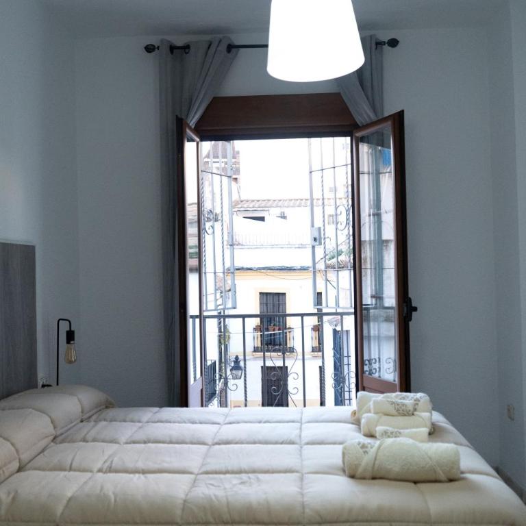 Edificio Alcazar - Apartamento - 12