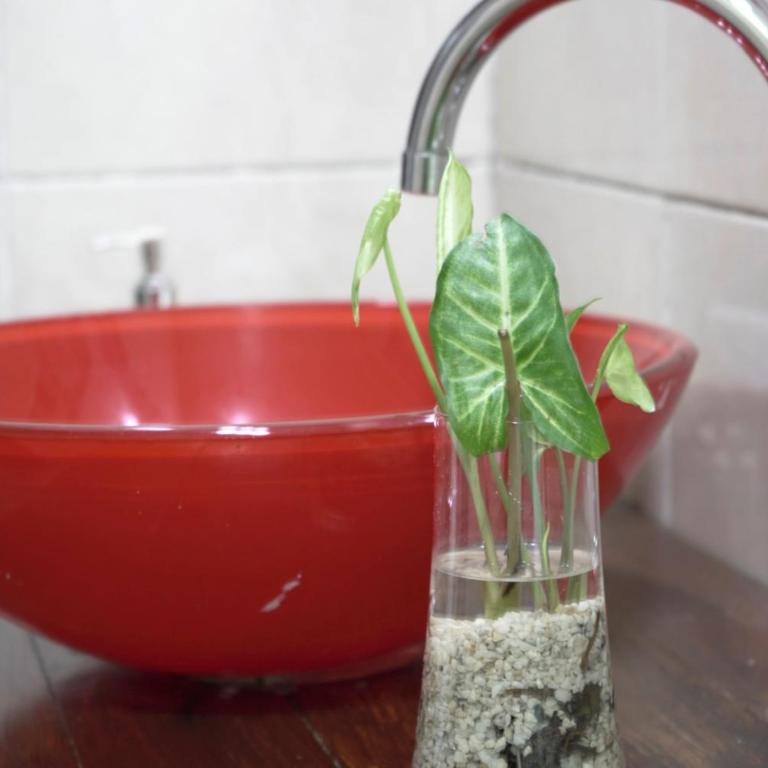 ZUHAUSE - Apartamento - 13