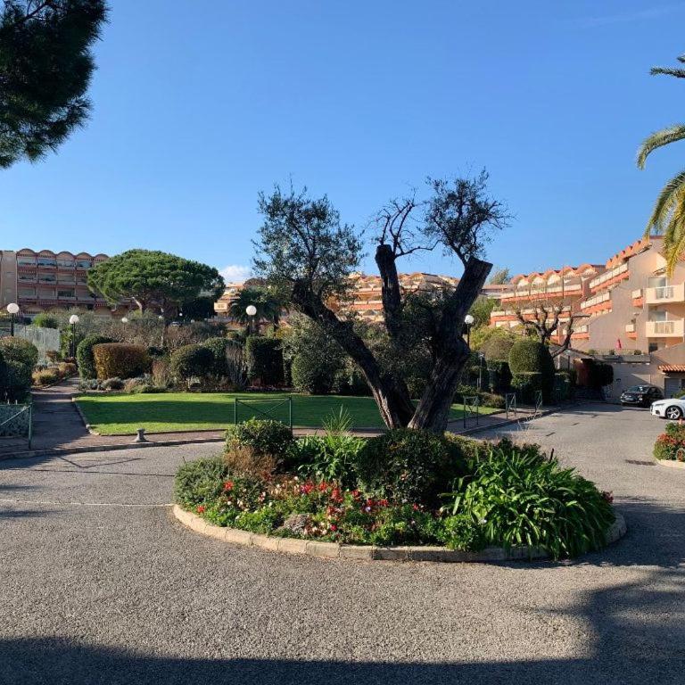 Le Velusine 54 - Apt 4 Prs - 400m beaches - Pools - Apartment mit 2 Schlafzimmern - 5