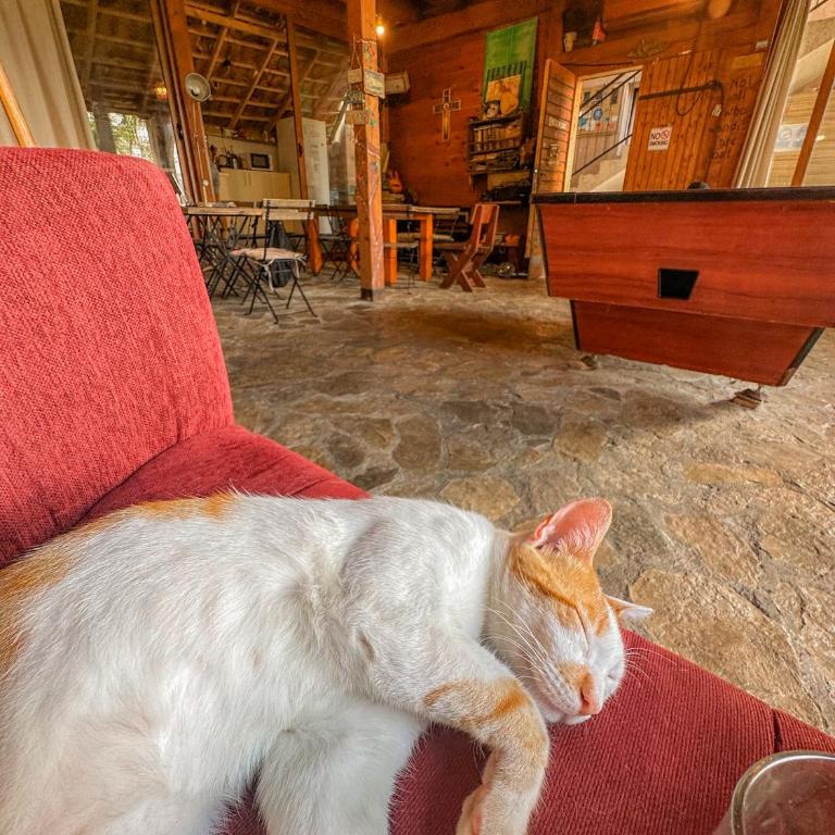 Hostel Anton - Deluks Dvokrevetna Soba sa Bračnim Krevetom i Balkonom - 1