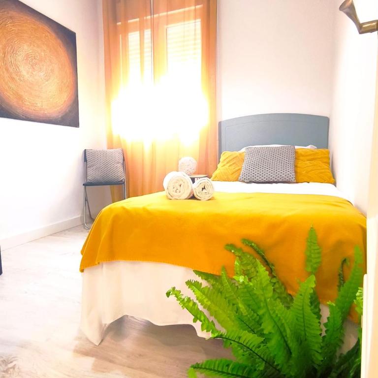 Apartamento Lances playa tarifa - Apartamento de 3 dormitorios - 31