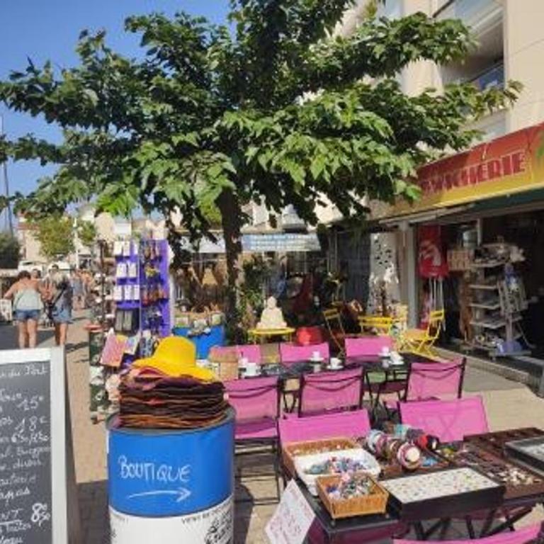 Studio rénové, proche port & village, parking, animaux admis - FR-1-796-83 - Appartement - 14