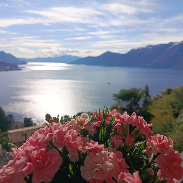 Bonga 28 - Appartamento con 1 Camera da Letto - 18