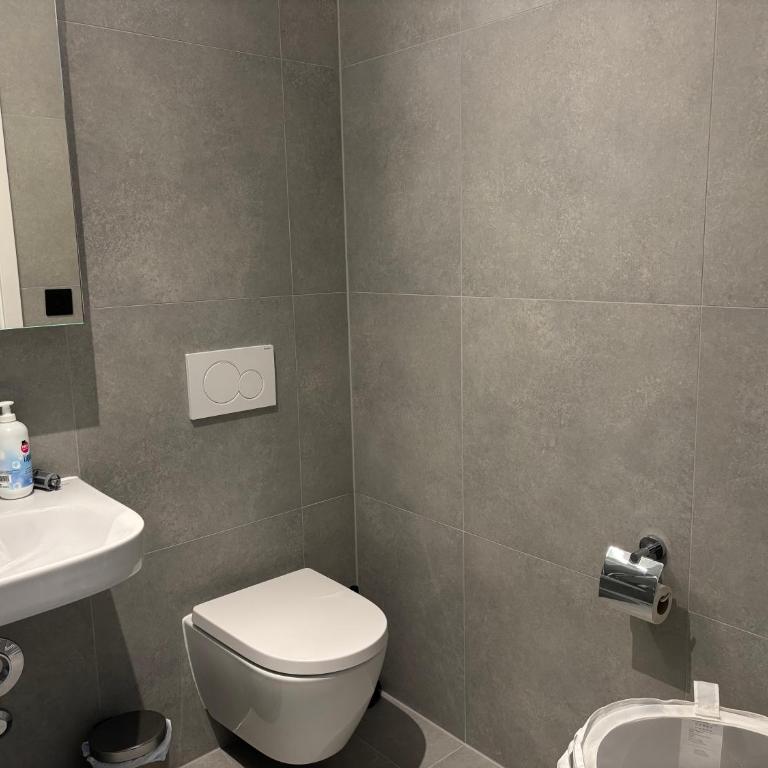 New Apartment on Top Floor, 2 minutes from Lausanne Train station - Apartment mit 1 Schlafzimmer - 17