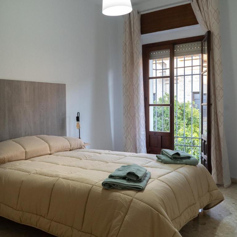 Edificio Alcazar - Apartamento - 9