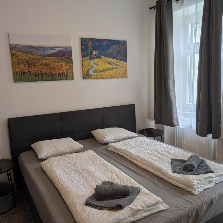 Flataid Apartmenthaus Tieschen - Apartment mit 2 Schlafzimmern - 7