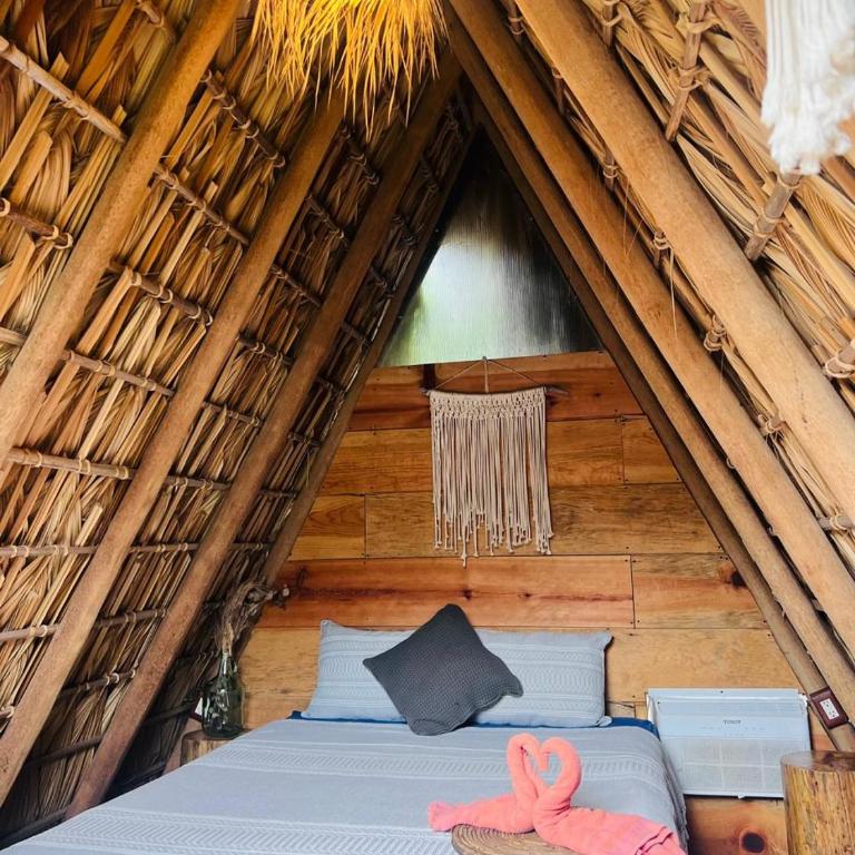 Tribu Tipis & Surf - Tienda - 18