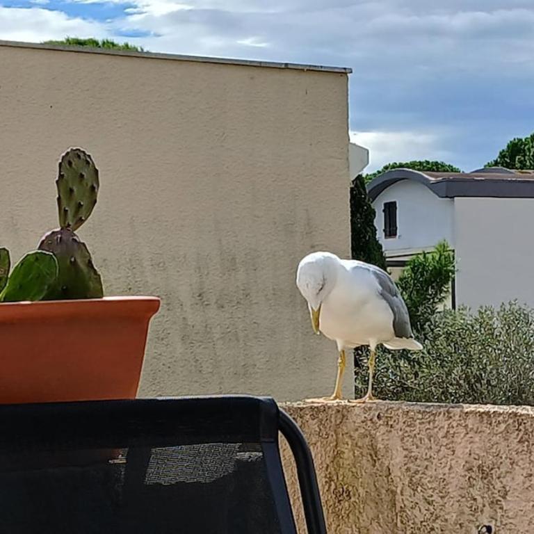 Appartement climatisé avec terrasse, proche Grazel - Appartamento con 1 Camera da Letto - 5