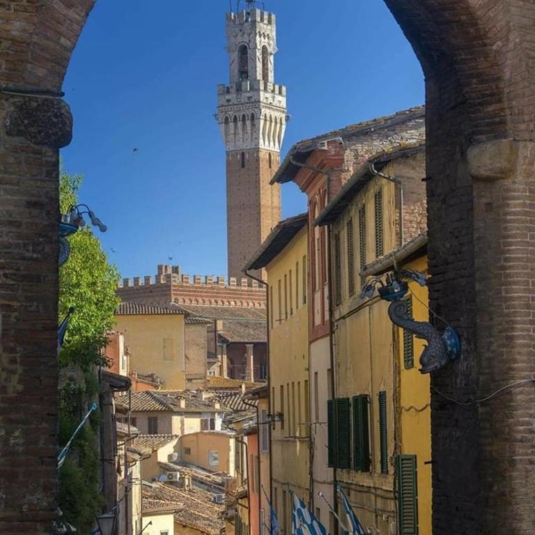 Romantic Apartment 2 min from Piazza del Campo - Appartamento con 1 Camera da Letto - 17