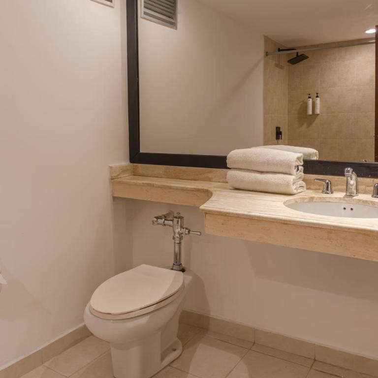 Hotel Faranda Express Puerta Del Sol Barranquilla, A Member of Radisson Individuals - Habitación Superior - 1 cama grande - 3