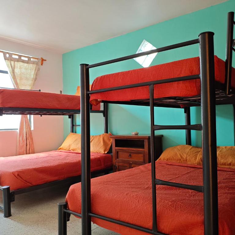 Habitación Violeta - Apartamento de 1 dormitorio - 6