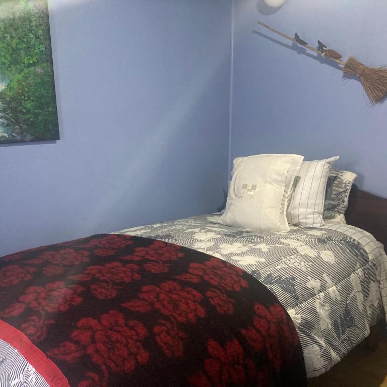 Art Gallery hostal Castro Chiloè - Standard Single Room with Mountain View - 2