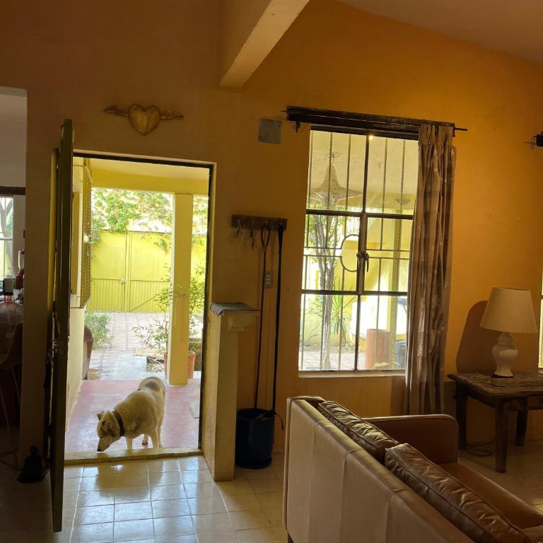 Casa Mandarina - Apartamento Deluxe de 1 dormitorio con vistas al jardín - 10