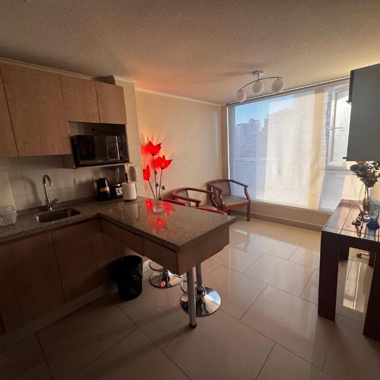 Santa Isabel 920 - One-Bedroom Apartment - 7
