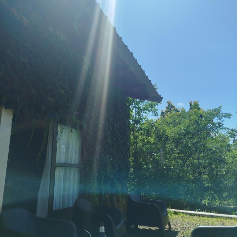 Casa con piscina, monte y selva en Misiones - Casa de 2 dormitorios - 23