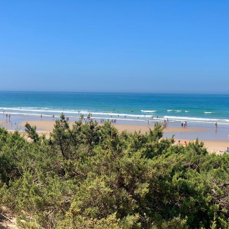 Modern Apartament in Chiclana City Center - Apartamento de 1 dormitorio - 14