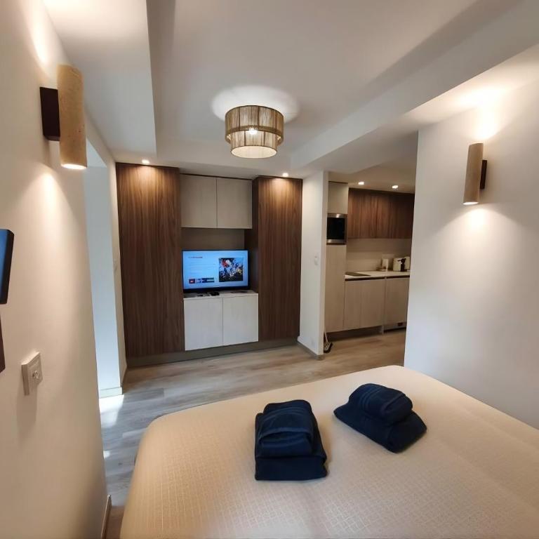 Charme de Mougins & proximité Cannes Logement idéal pour couple en séjour détente ou professionnels en déplacement - Appartement - Rez-de-Chaussée - 10
