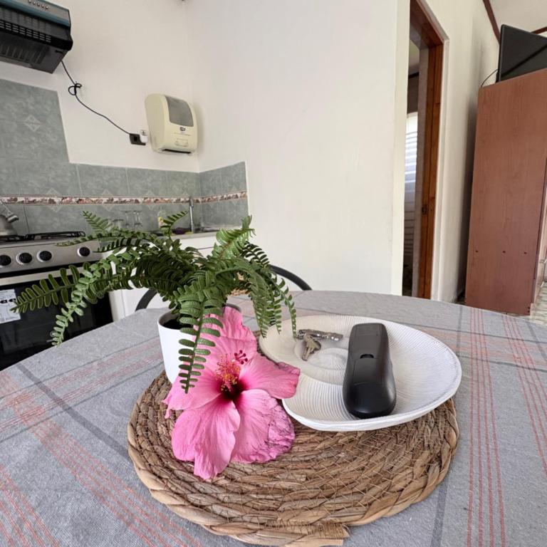 Cabañas Honu Nui Inn - One-Bedroom Apartment - 16