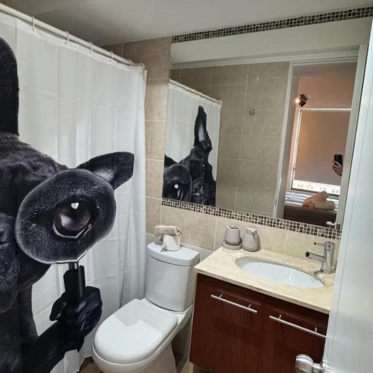 Departamento vista entel - One-Bedroom Apartment - 3