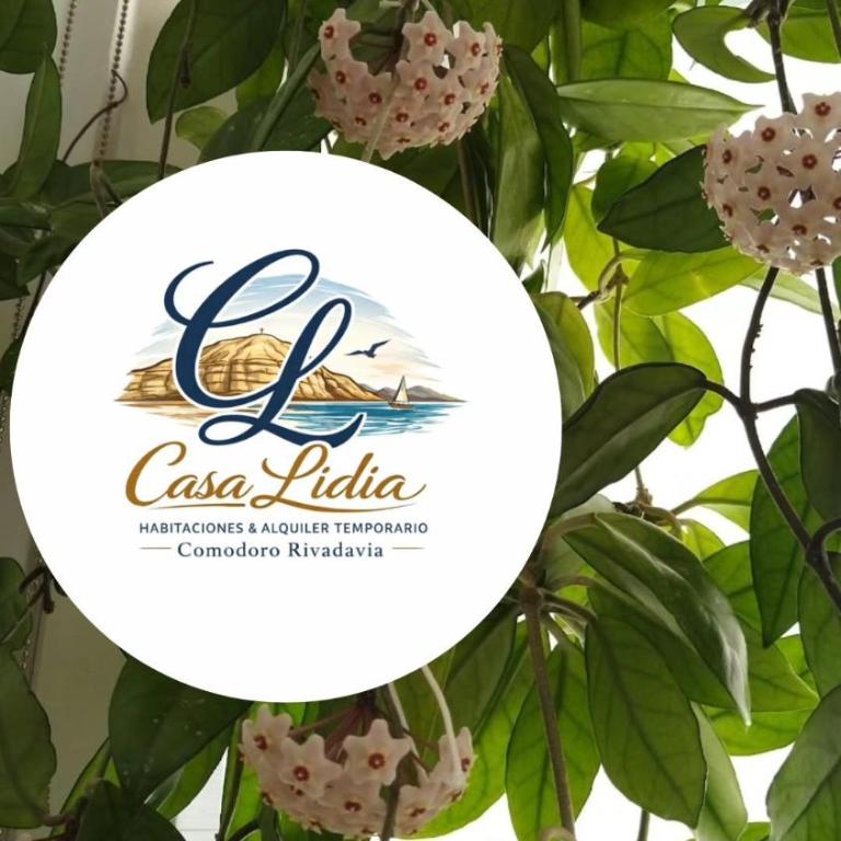 Casa LIDIA - Apartment - 14