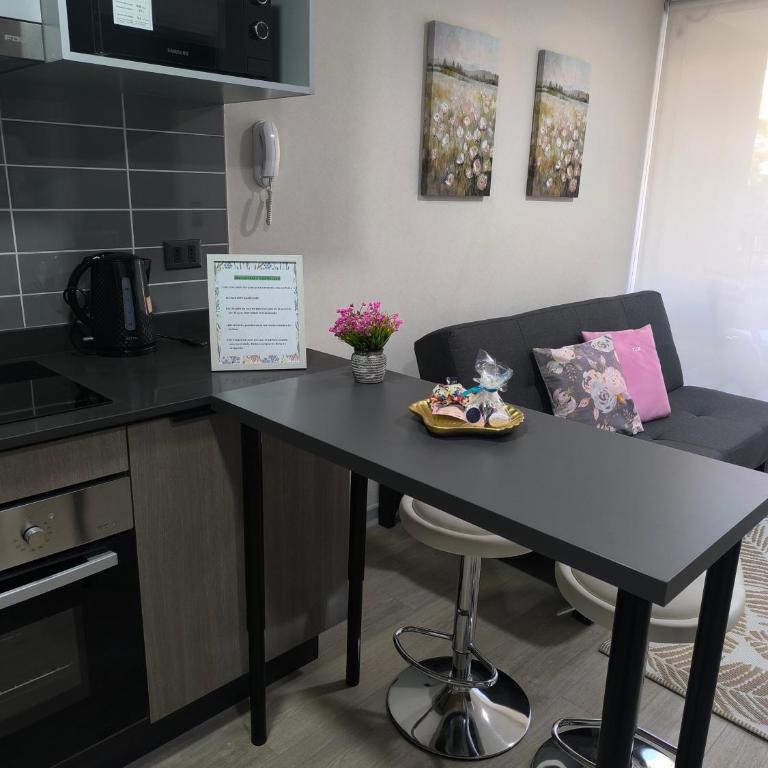 Departamento en Santiago - One-Bedroom Apartment - 1