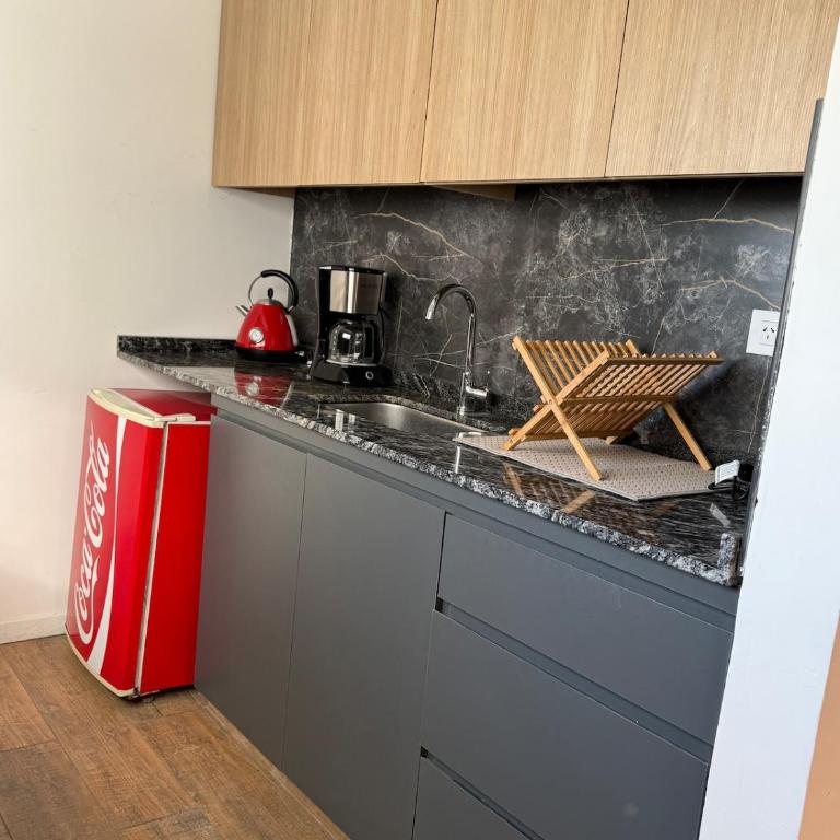 Departamento sofisticado y moderno - Apartamento de 1 dormitorio - 7