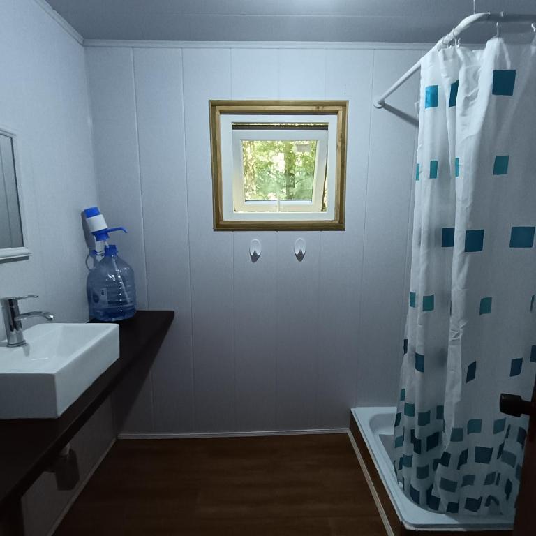 Glamping Pucón - One-Bedroom Apartment - 20