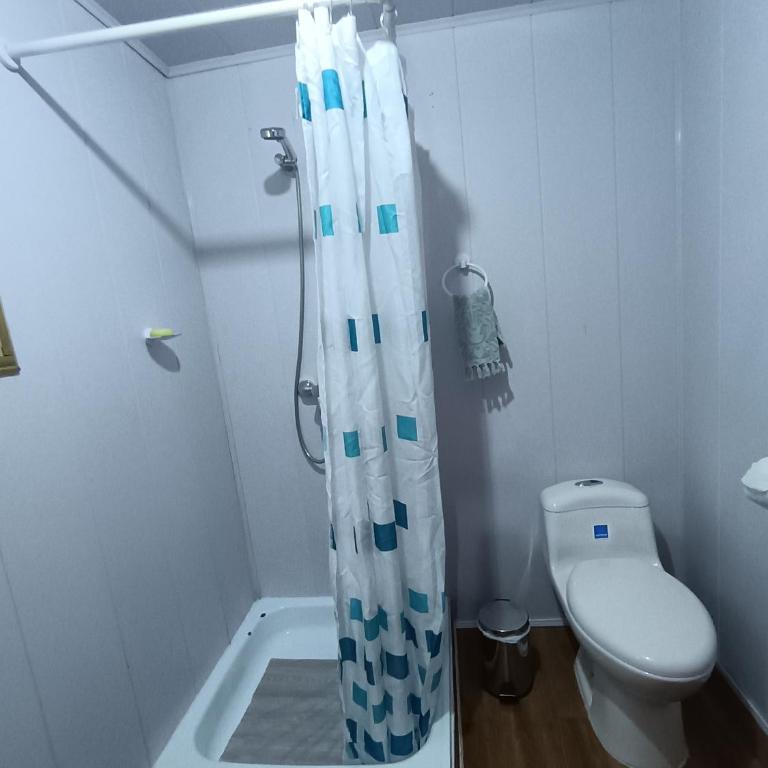Glamping Pucón - One-Bedroom Apartment - 19