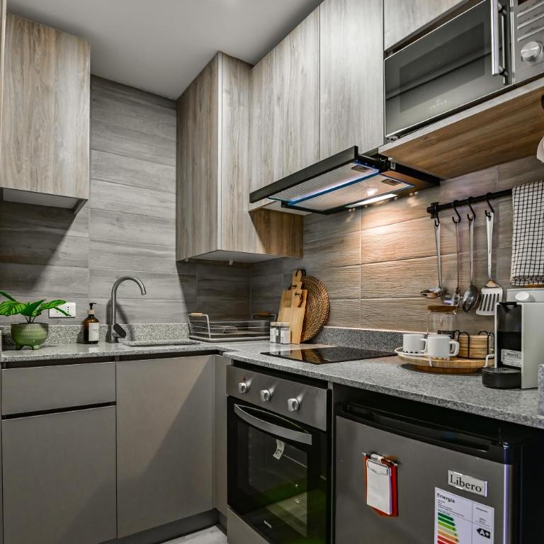 Sweet Stay Chile - Palacio de Gobierno - One-Bedroom Superior Apartment - 13