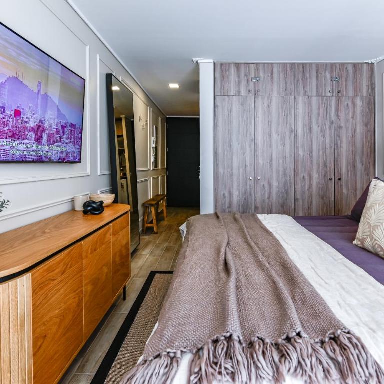 Sweet Stay Chile - Palacio de Gobierno - One-Bedroom Apartment - Non-Smoking - 22